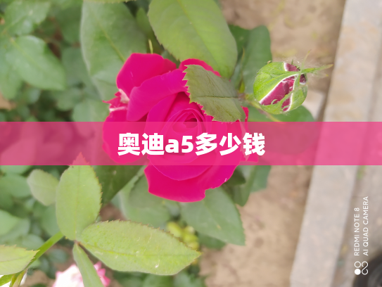 奥迪a5多少钱
