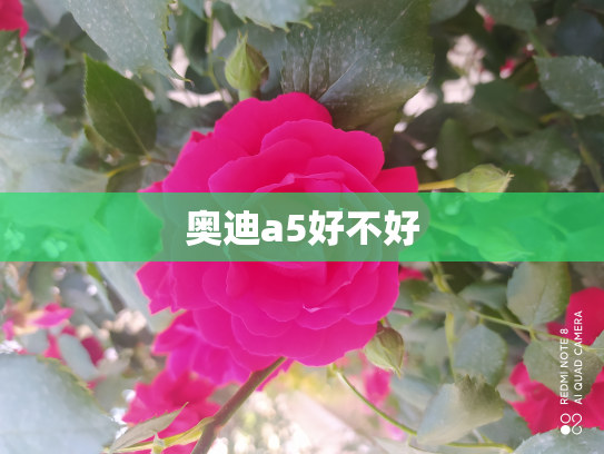 奥迪a5好不好