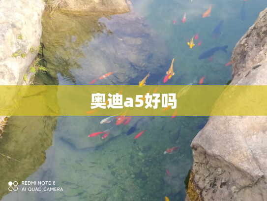 奥迪a5好吗