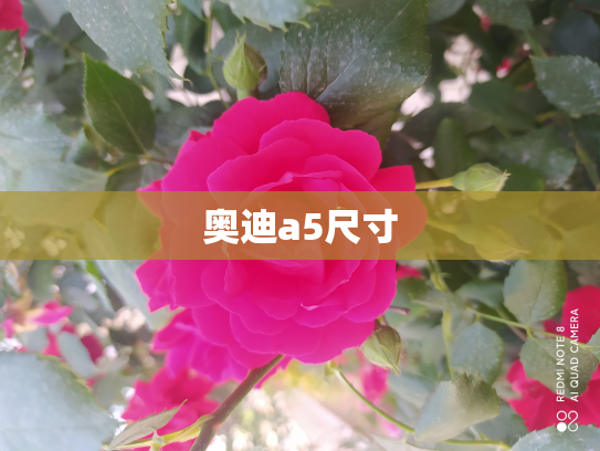 奥迪a5尺寸