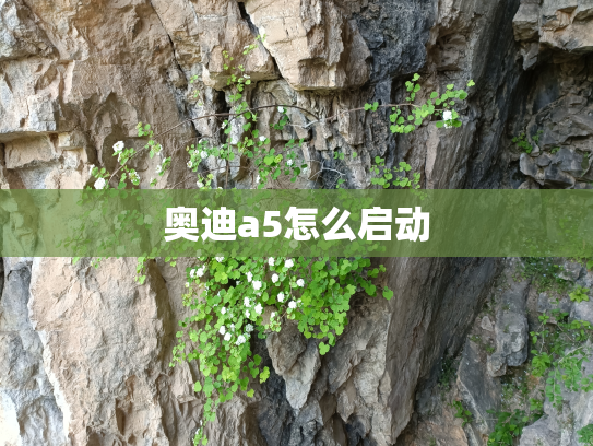 奥迪a5怎么启动