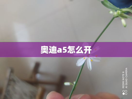 奥迪a5怎么开