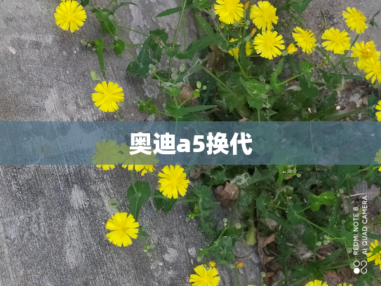 奥迪a5换代