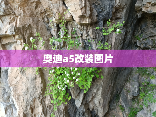 奥迪a5改装图片