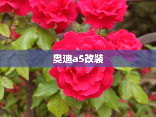 奥迪a5改装
