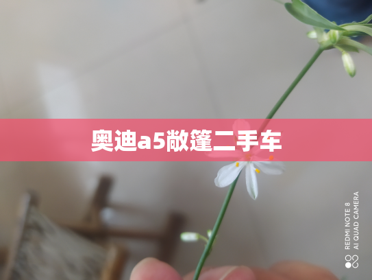 奥迪a5敞篷二手车
