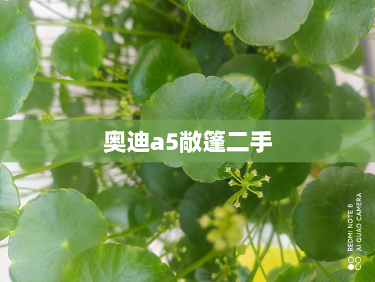奥迪a5敞篷二手