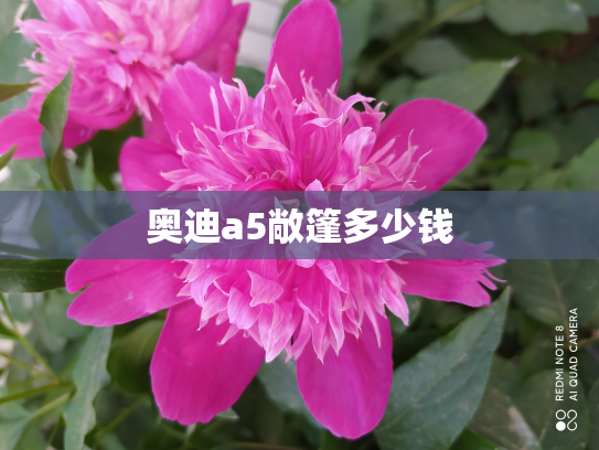 奥迪a5敞篷多少钱