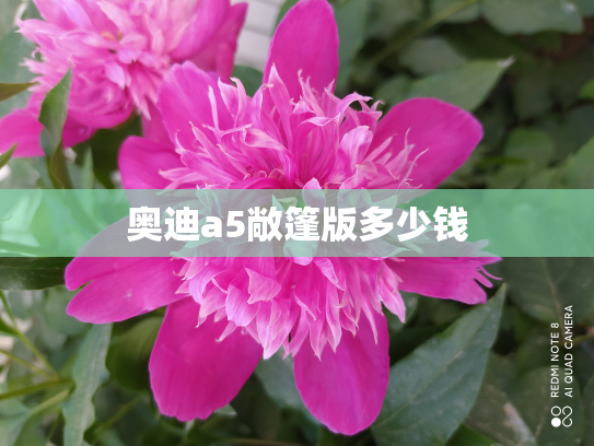 奥迪a5敞篷版多少钱