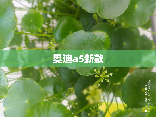 奥迪a5新款
