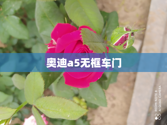 奥迪a5无框车门