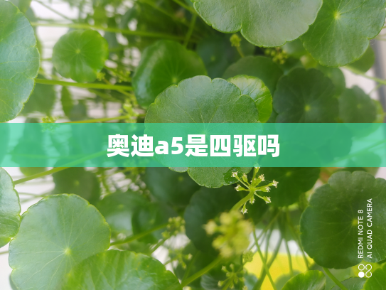 奥迪a5是四驱吗