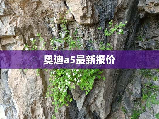 奥迪a5最新报价