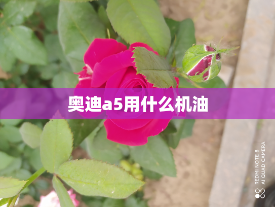 奥迪a5用什么机油