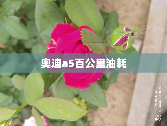 奥迪a5百公里油耗