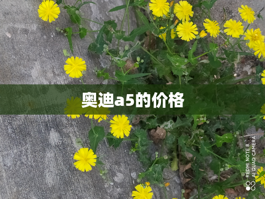 奥迪a5的价格