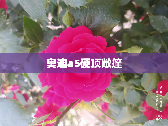 奥迪a5硬顶敞篷