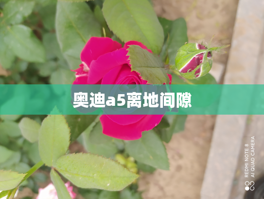 奥迪a5离地间隙