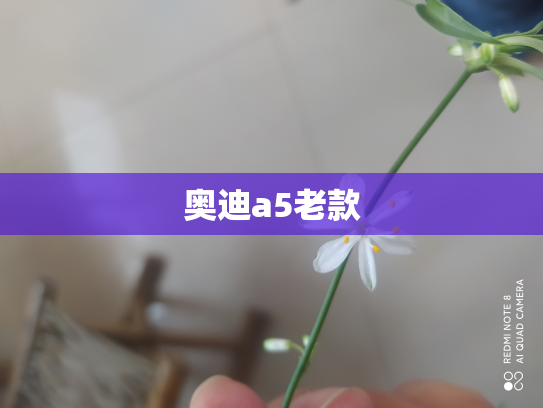 奥迪a5老款