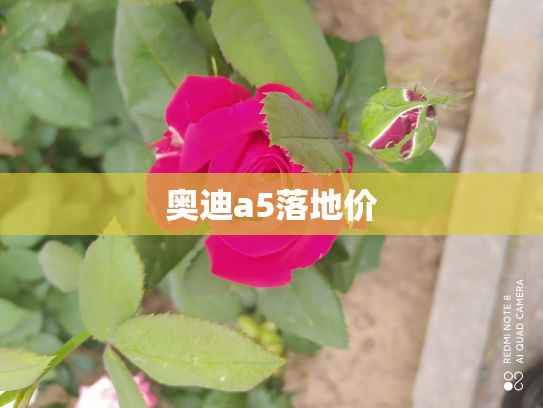 奥迪a5落地价