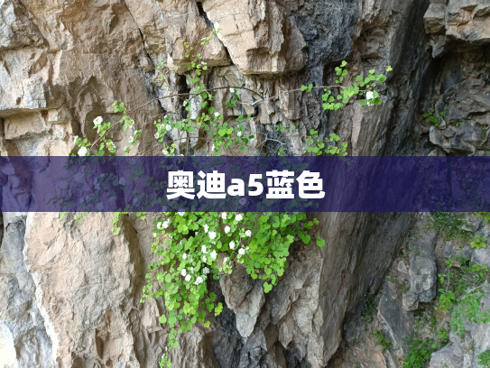 奥迪a5蓝色