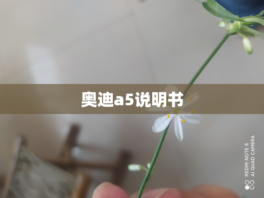 奥迪a5说明书