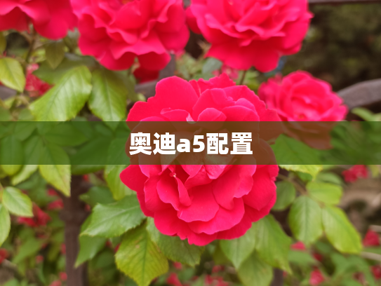 奥迪a5配置