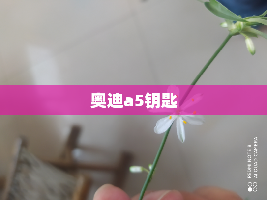 奥迪a5钥匙