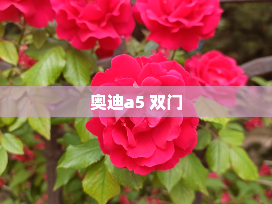 奥迪a5 双门