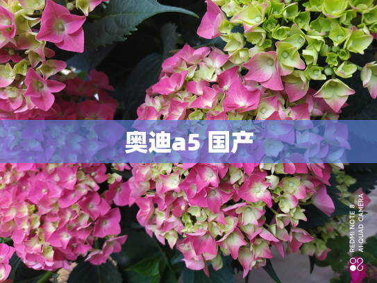 奥迪a5 国产