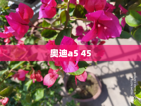 奥迪a5 45