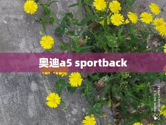 奥迪a5 sportback