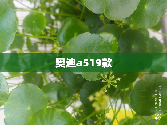 奥迪a519款