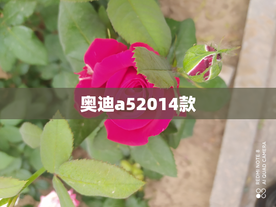 奥迪a52014款