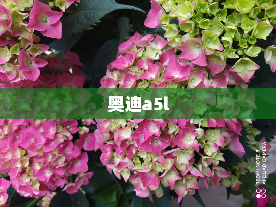 奥迪a5l