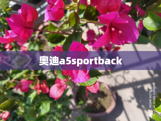 奥迪a5sportback