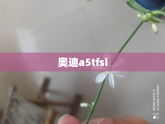 奥迪a5tfsi