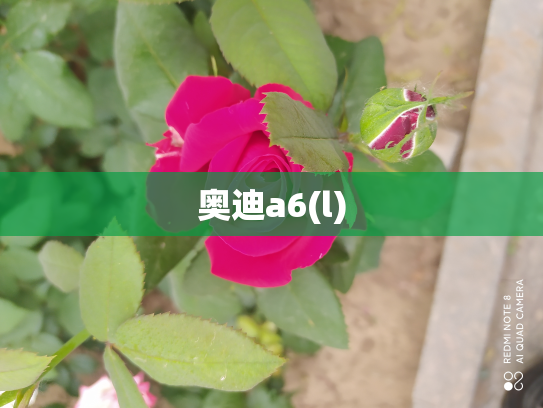 奥迪a6(l)