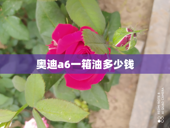 奥迪a6一箱油多少钱