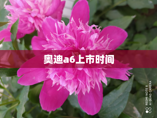奥迪a6上市时间