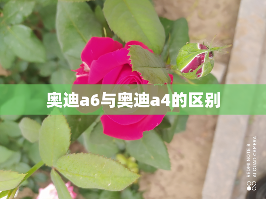奥迪a6与奥迪a4的区别