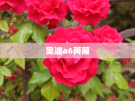奥迪a6两厢