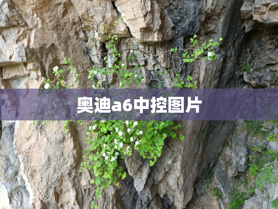 奥迪a6中控图片