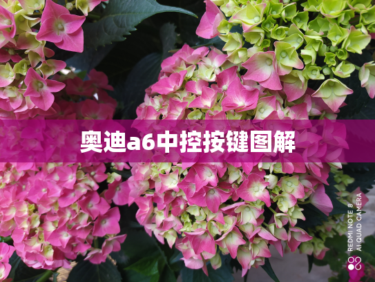 奥迪a6中控按键图解
