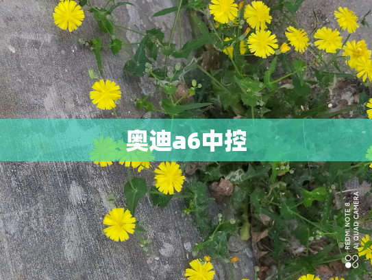 奥迪a6中控