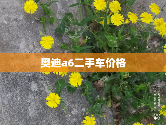 奥迪a6二手车价格