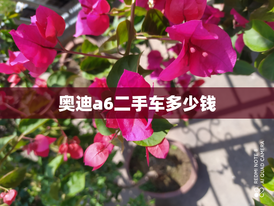 奥迪a6二手车多少钱