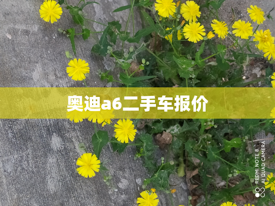 奥迪a6二手车报价