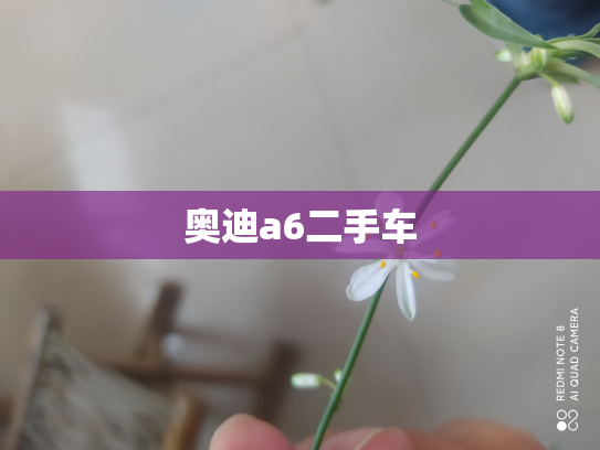 奥迪a6二手车