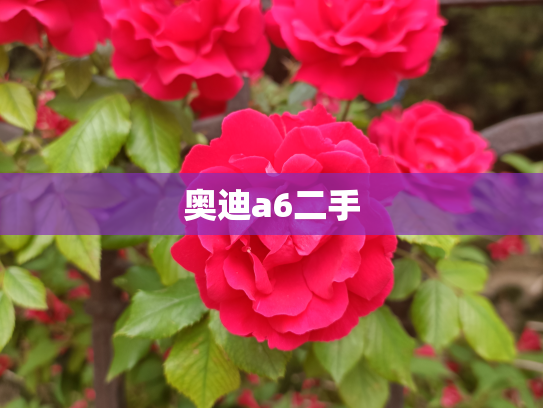 奥迪a6二手